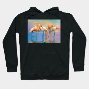 Caribbean Flamingos Hoodie